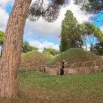 Panoramic view of burial mounds (tumuli) in the Necropolis of Banditaccia, Cerveteri – a glimpse into ancient Etruscan funerary architecture.