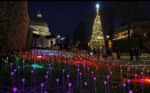 Roma Christmas market eur